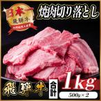 ふるさと納税 羽島市 飛騨牛 焼肉切り落とし 約1kg(約500g×2)タレ付き 訳あり【冷蔵便】A4〜A5等級 黒毛和牛