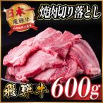 ふるさと納税 羽島市 飛騨牛 焼肉切り落とし 約600g(約300g×2)タレ付き 訳あり【冷蔵便】A4〜A5等級黒毛和牛