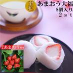 至福あまおう大福 50g×8個×2セット