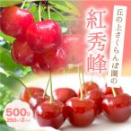ふるさと納税 豊丘村 【丘の上さくらんぼ園】紅秀峰　500g 大満足の食べ応え!　2026年6月より順次発送