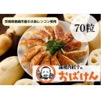 ショッピングふるさと納税 肉 ふるさと納税 鹿嶋市 蓮根肉餃子のおばけん【70粒】