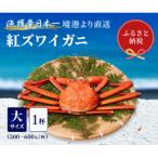 ふるさと納税 智頭町 【蟹セレブ】ズワイガニ(紅ズワイガニ)大1杯(500〜600g×1)