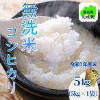 ふるさと納税 矢吹町 令和7年産〈無洗米〉 福島県矢吹町の美味しいこしひかり5kg