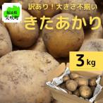 ふるさと納税 矢吹町 【訳あり】サイズ色々!不揃いじゃがいも(きたあかり)3kg詰め合わせ