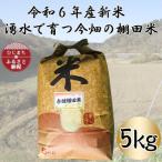 令和6年産 湧水で育つ今畑の棚田米 5kg