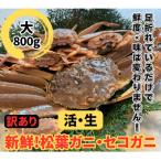 鳥取網代港 活 松葉ガニ セコガニセット 大