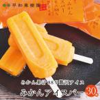 ふるさと納税 有田市 【早和果樹園】みかんアイスバー(氷菓)30本入|フルーツアイス
