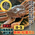 鳥取網代港 活 松葉ガニ 大 800g※お届けは2026年11月中旬~