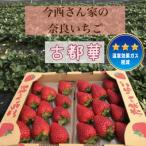 いちご詰合せ 今西さん家の奈良いちご 古都華
