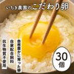 A0-07 いちき農園のこだわり卵 計30個