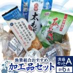 漁協セットA 漁業組合 加工品6点セット