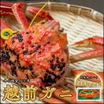 越前がに 600g×1杯