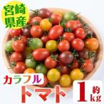金丸さん家のカラフルトマト 約1kg