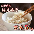 ふるさと納税 新庄市 【令和7年産】　はえぬき(玄米)5kg 山形県産