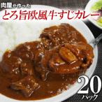 とろ旨欧風牛すじカレー 200g×20パック