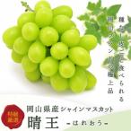 シャインマスカット 晴王 3~5房 約2kg