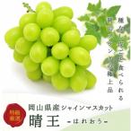 シャインマスカット 晴王 1房 800g以上