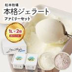 ふるさと納税 玄海町 【松本牧場】本格ジェラートファミリーセット (1L×2個 計2リットル)【B109】