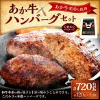 上 くまモンあか牛ハンバーグセット あか牛ハンバーグ120g×…
