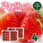 さがほのかDX 2箱