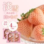 ふるさと納税 玄海町 【予約受付】白いちご「淡雪(あわゆき)DX」2箱【D021】
