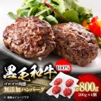 ふるさと納税 大野城市 黒毛和牛100%無添加ハンバーグステーキ　計800g(200g×4個)