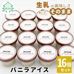 ふるさと納税 根羽村 濃厚だけど後味さっぱり!バニラアイスクリーム 16個セット