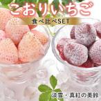 ふるさと納税 玄海町 こおりいちご ミックス 1kg 品種_淡雪(あわゆき)・真紅の美鈴(しんくのみすず)【B040】