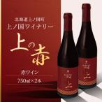 ふるさと納税 上ノ国町 北海道産 上ノ国ワイナリー 赤ワイン「上の赤」 750ml×2本