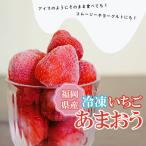 ふるさと納税 岡垣町 福岡ブランドあまおう【訳あり】冷凍いちご1600g(岡垣町)