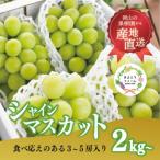 ショッピングふるさと納税 シャインマスカット ふるさと納税 津山市 【2026年先行予約】シャインマスカット3-5房/計2kg〜(岡山県産)