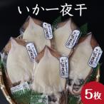 釜石ひもの屋さんのいか一夜干 1枚×5袋