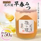 早春みつ 750g