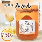 みかん 750g
