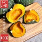 fu.... налог . хорошо . город Hokkaido . хорошо . производство . Chan тыква 10 шар 