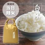 産元気つくし 白米5kg 元気つくし 白米 5kg