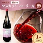 ふるさと納税 笛吹市 赤ワイン NOVICE マスカット・ベーリーA 1800ml×1本 日川中央葡萄酒 山梨県笛吹市