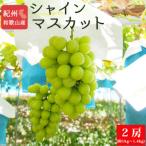 シャインマスカット 約1kg