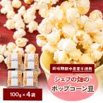 栽培期間中 農薬を使わず自家栽培 シェフの畑のポップコー…