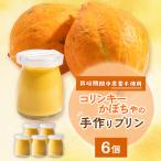 栽培期間中 農薬を使わず自家栽培した コリンキーかぼちゃ