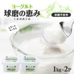 ふるさと納税 水上村 球磨の恵みヨーグルト(無糖)　2kgセット