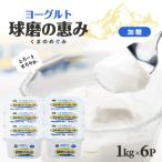 球磨の恵み ヨーグルト 加糖 6kg