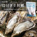 ふるさと納税 赤穂市 生食OK 坂越かき 殻付き生牡蠣12個入り【冷凍】