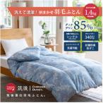 ふるさと納税 広川町 【訳あり】洗える羽毛本掛け布団85%1.4kgシングル(ブルー・グリーン系)【筑後国の羽毛ふとん】