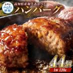 創業50年老舗レストランの幻の土佐あかうしハンバーグ120g×…
