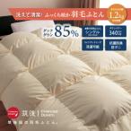 ふるさと納税 広川町 【訳あり】洗える羽毛本掛け布団85%1.2kgシングル(無地ベージュ系)【筑後国の羽毛ふとん】