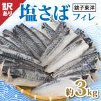 ふるさと納税 銚子市 【訳あり】塩鯖(冷凍)3kg 銚子東洋のフィレ 規格外