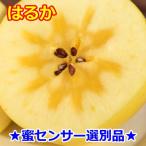 ふるさと納税 三戸町 ★蜜センサー選別品★高級りんご【はるか】約3kg(8〜12玉)【2025年産・先行予約】