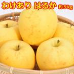 ふるさと納税 三戸町 【訳あり】高級りんご【はるか】約5kg(12〜20玉)【2025年産・先行予約】