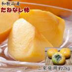 和歌山産のたねなし柿約2kg ご